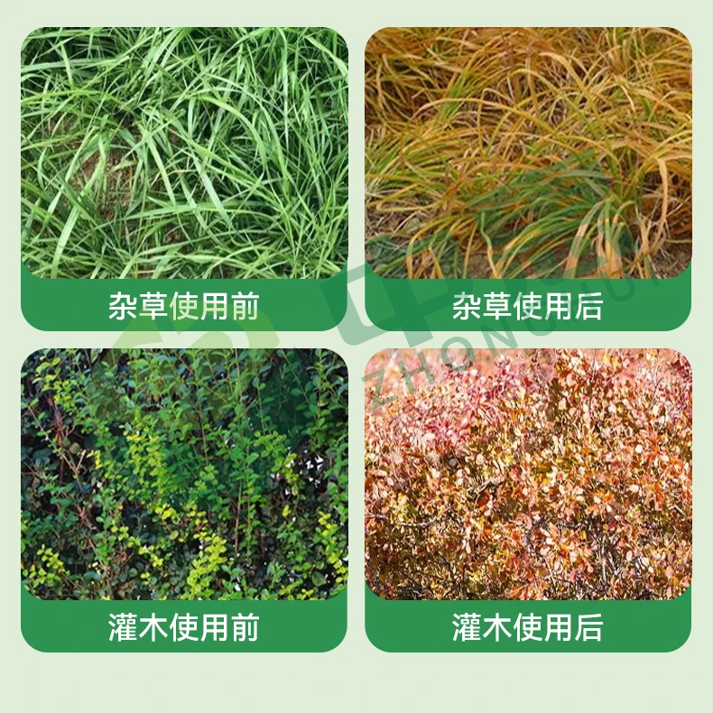 为奥运助力竹子灌木除草专用竹子灌木杂草开荒除草专用剂撒施助剂