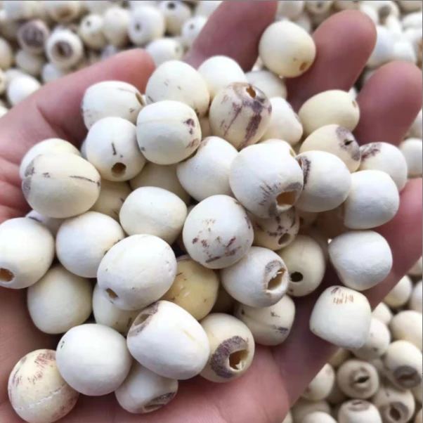 A湘潭磨皮莲子  粉糯