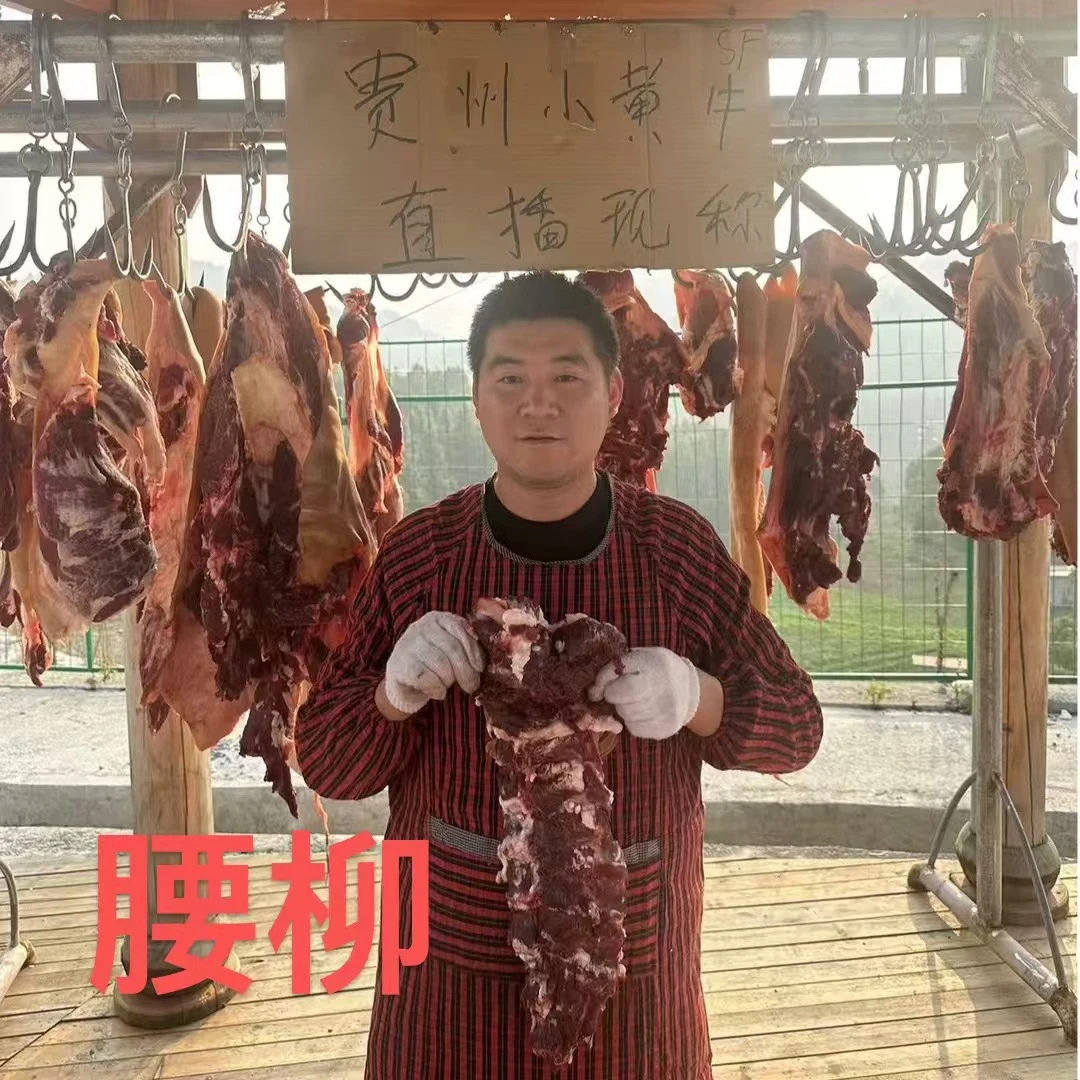 【腰柳】贵州农村散养小黄牛腰柳 顺丰包邮