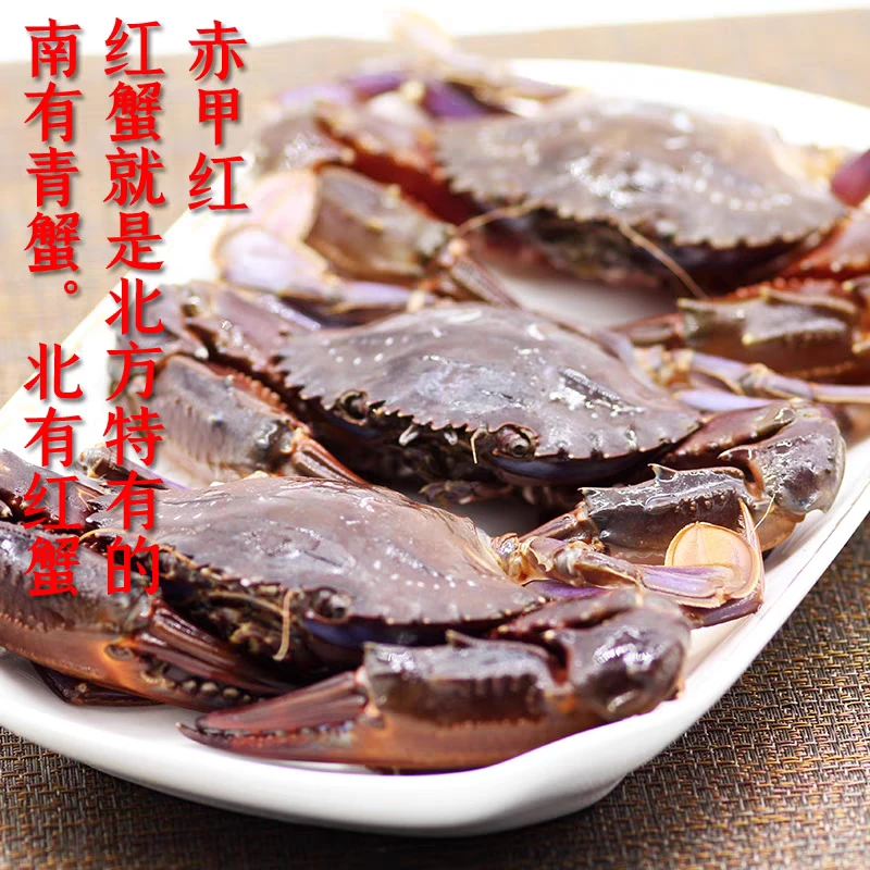 鲜活 东港赤甲红 螃蟹 鲜界扛把子 二斤（约7-8只）