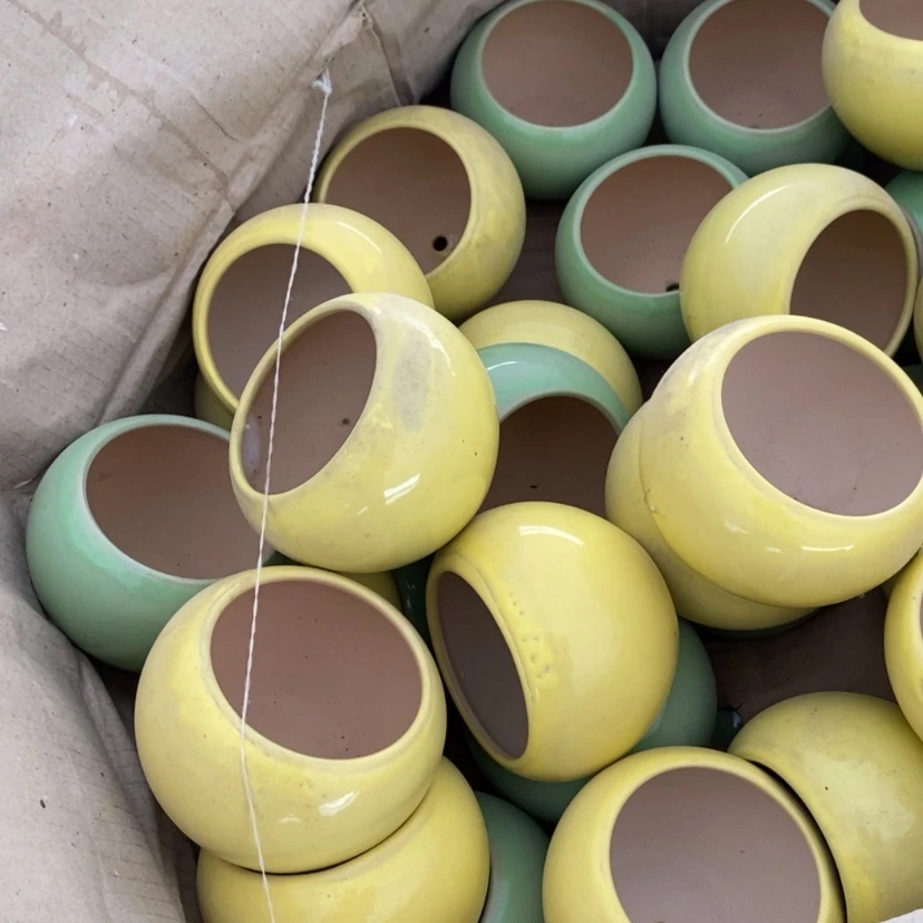 【闪购商品】红陶15cm以下