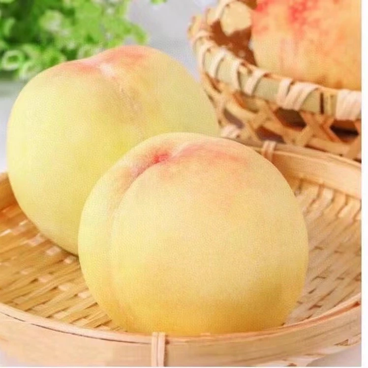 齐晓智生鲜无锡阳山水蜜桃
