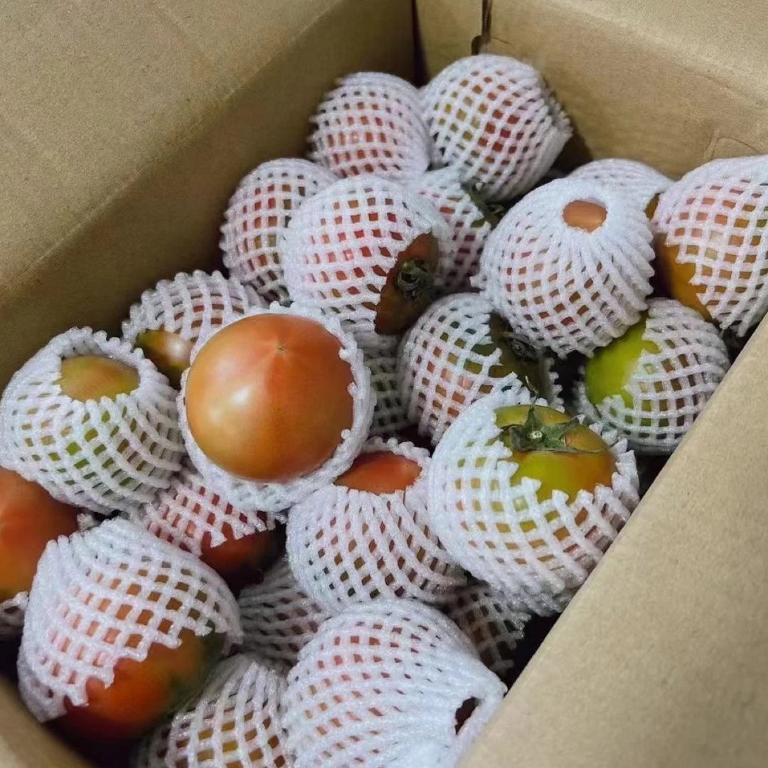 碱地草莓柿子中大混装净果4斤