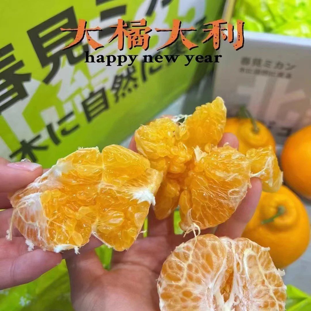 白富美春见耙耙柑 净重7斤