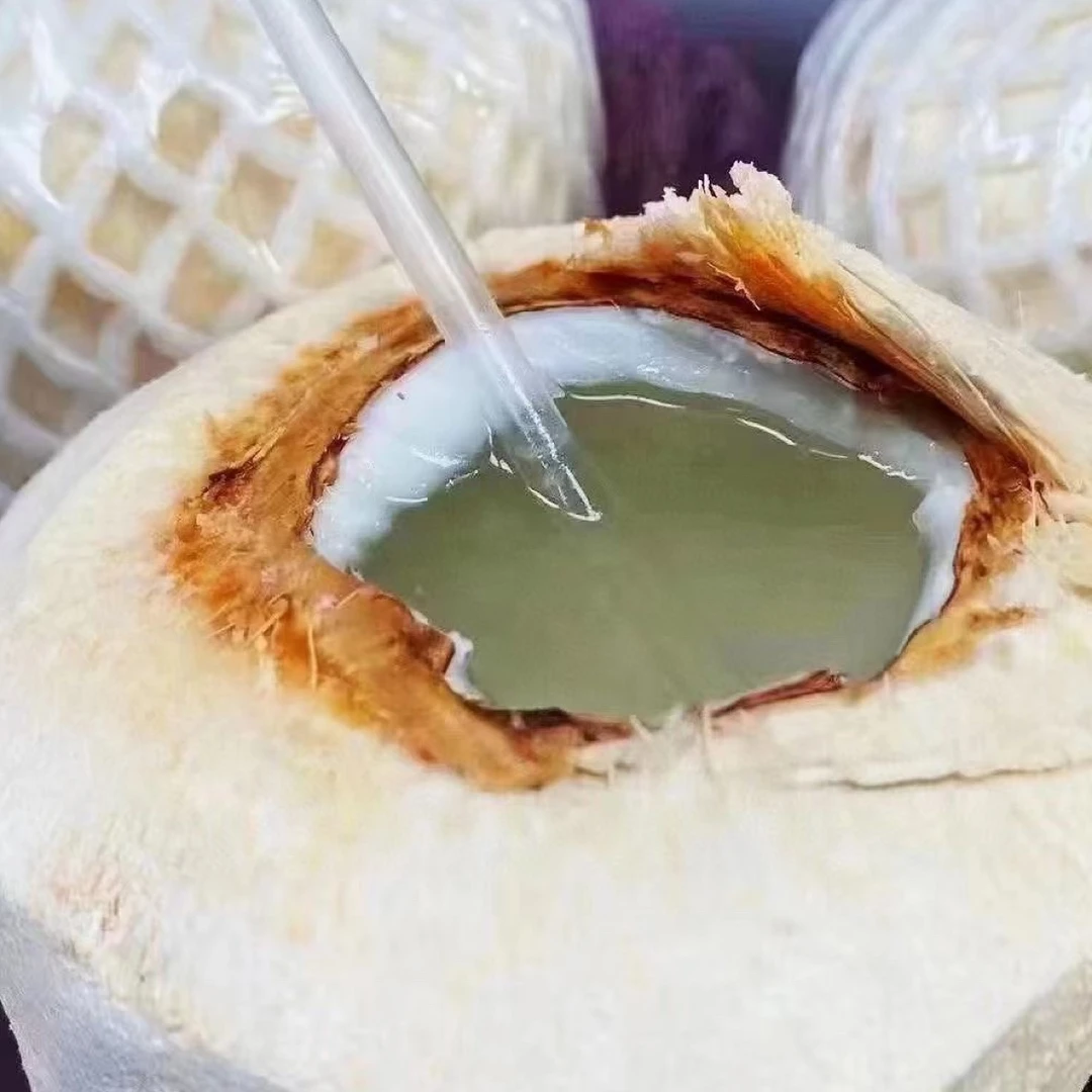 齐晓智生鲜 易开椰