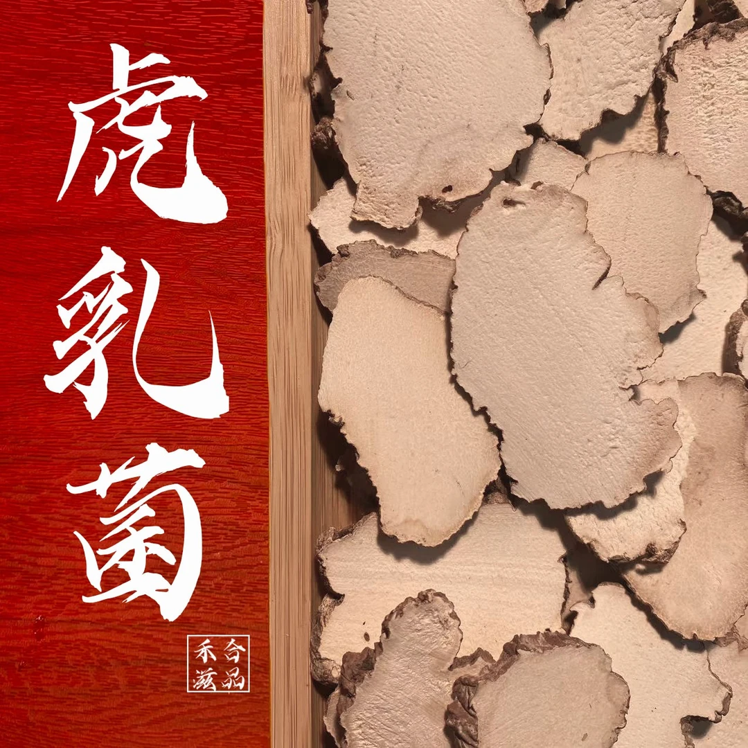 【殷小姐专属】精选无硫虎适合乳菌 足干 大片