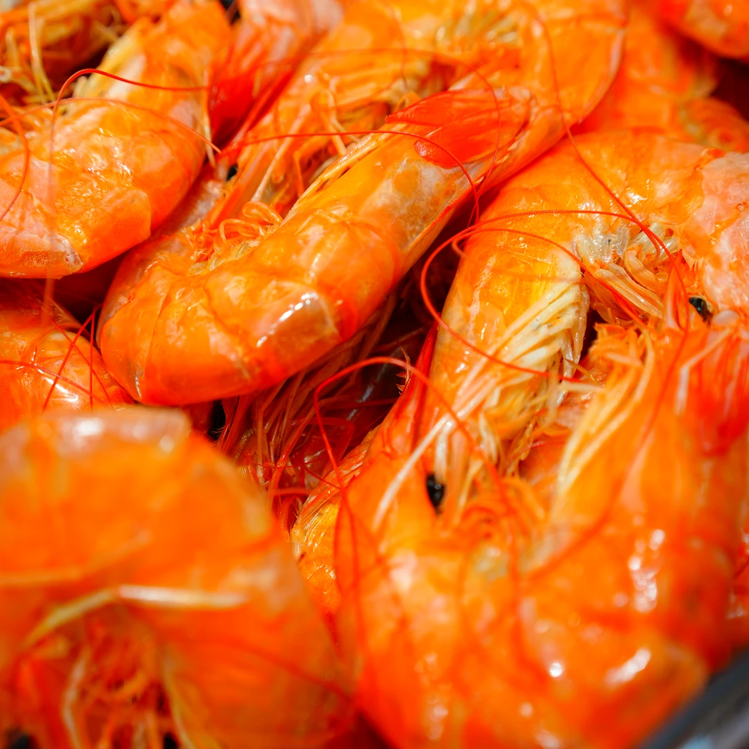 禾合 / 九节虾干即食海鲜零食新鲜海鲜干