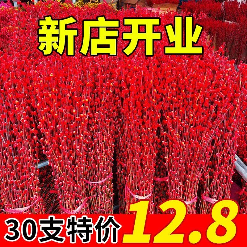 【当地热卖】红色招财银柳干花真花鲜枝水培植物红色银柳年宵装饰