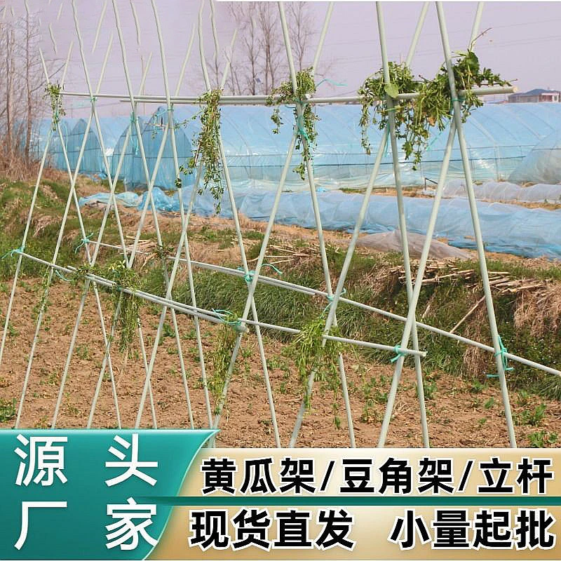 豆角搭架杆葫芦爬藤架茄子架防晒棚家用百香果芸豆杆子攀爬种菜架
