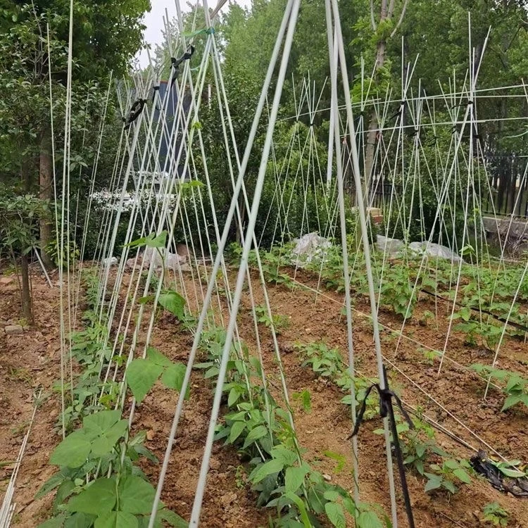 豆角架黄瓜架爬藤杆拱竿支架杆菜棚保温棚育苗棚杆小拱棚拱杆实心