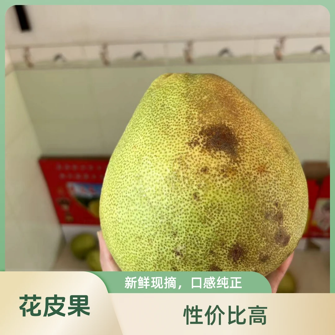 福建正宗度尾文旦柚花皮果丑果无洞可久放黑果红心柚子介意慎拍