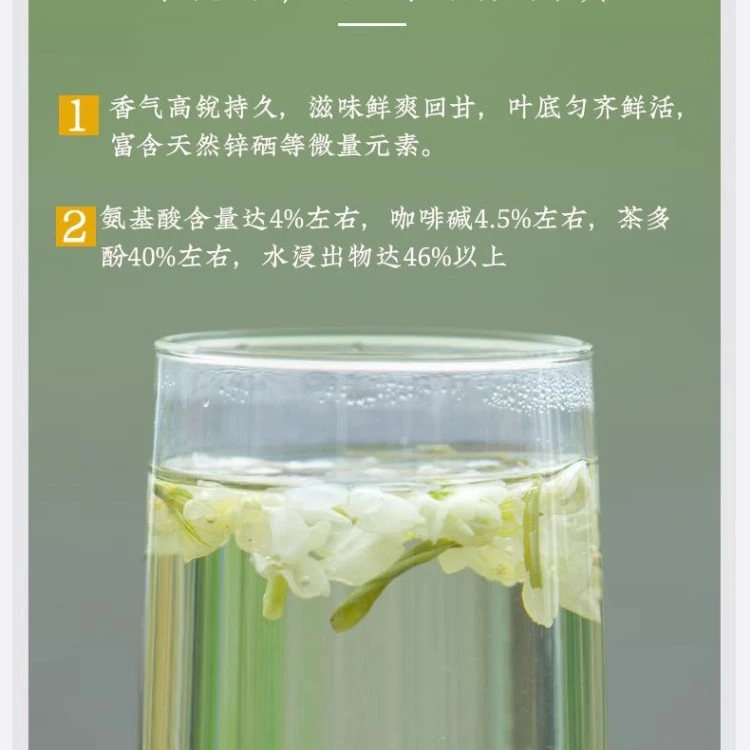 南山-2025年茉莉毛尖