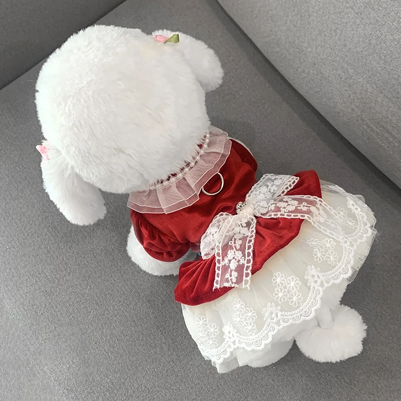 2023新款狗狗衣服宠物猫咪可牵引秋季公主裙泰迪博美比熊小狗裙子