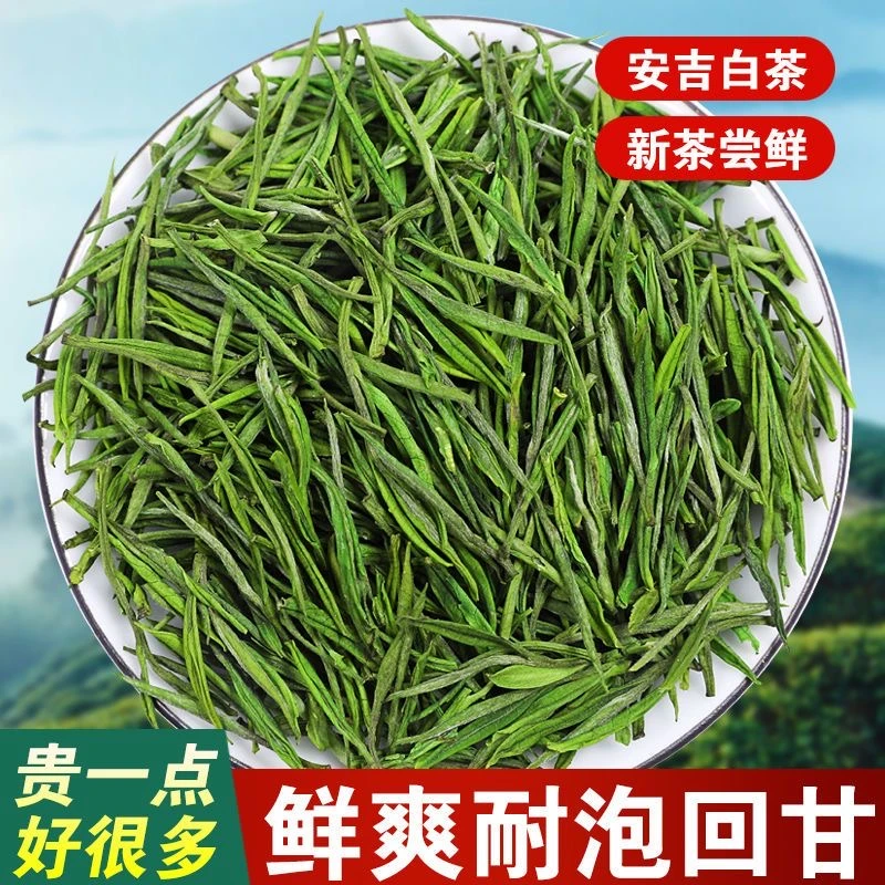 【不好喝退全款】2023年新茶春茶安吉高山白茶高山高白化兰花香口粮