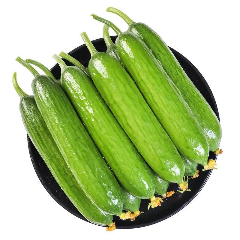 寿光特产水果黄瓜小乳瓜小青瓜清脆爽口1/3/5斤装达人专享