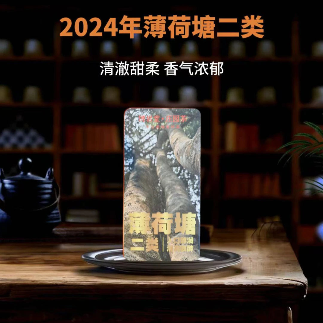 【新品首发】2024年 薄荷塘二类 普洱生茶龙珠 30粒X3克/粒【带茶样】