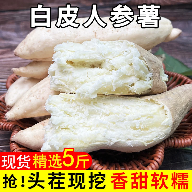 白皮人参薯白皮白心红薯番薯板栗薯地瓜白瓤粉面粗粮地瓜牛奶红薯