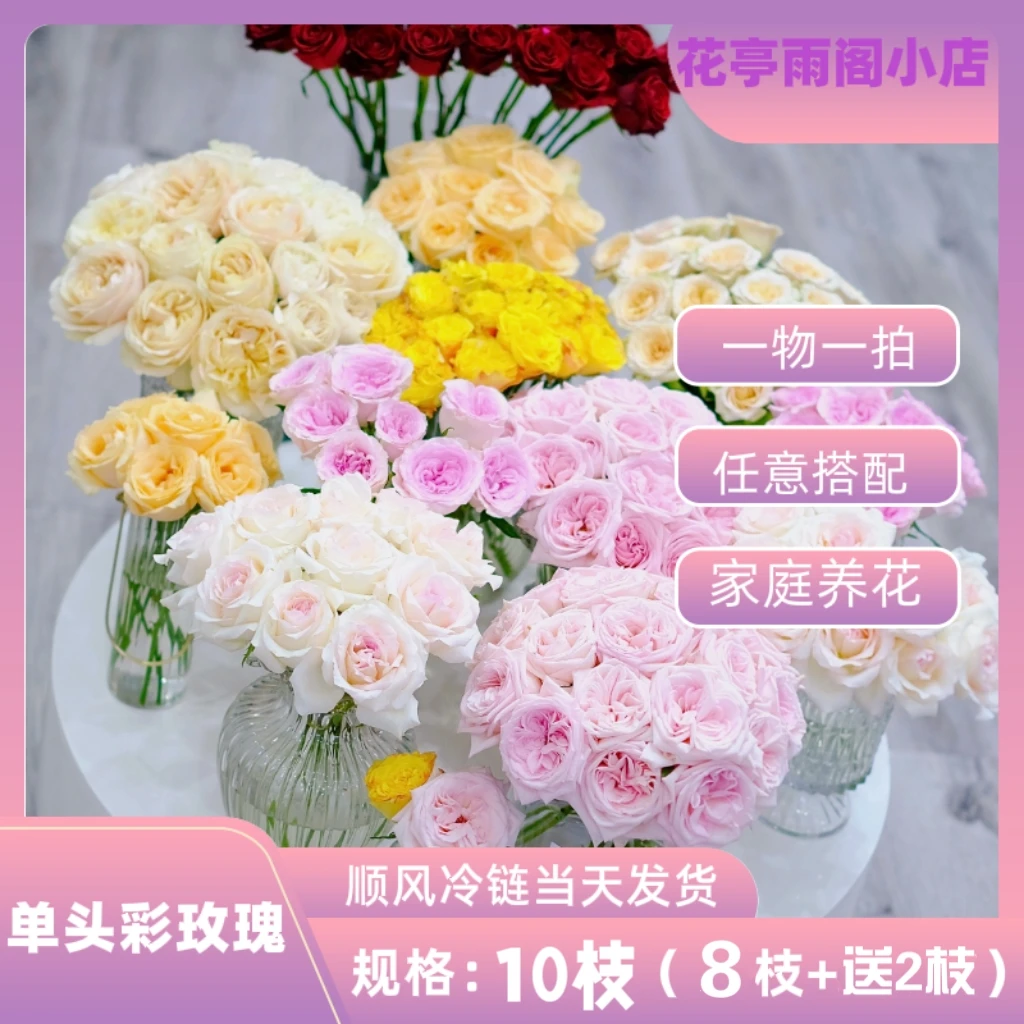 玫瑰4单顺丰包邮+送10枝玫瑰防损耗（全部花材10枝内损耗不售后）