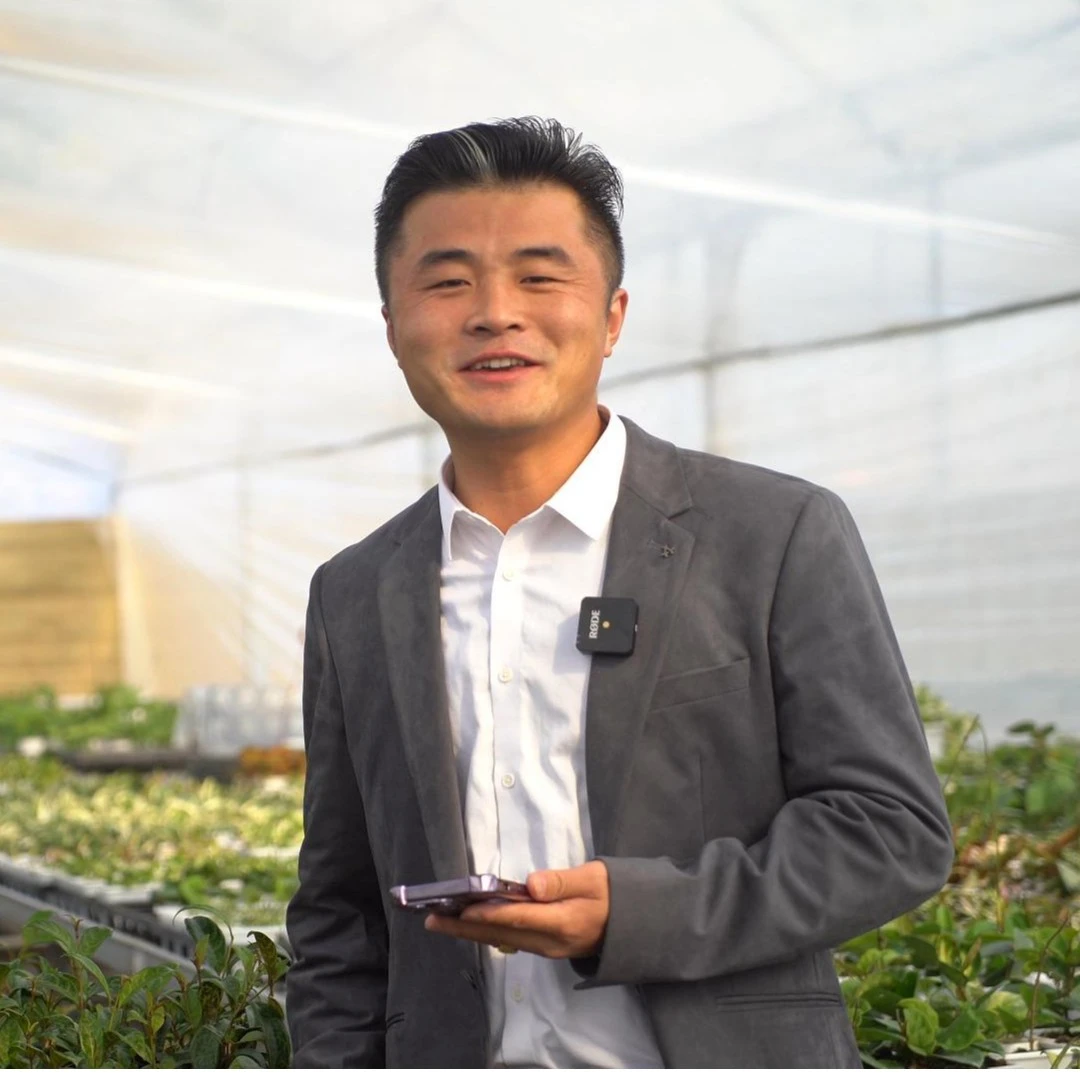 【老花医】xsnm绿植室内外好养活芬芳四溢香盆栽开花好养