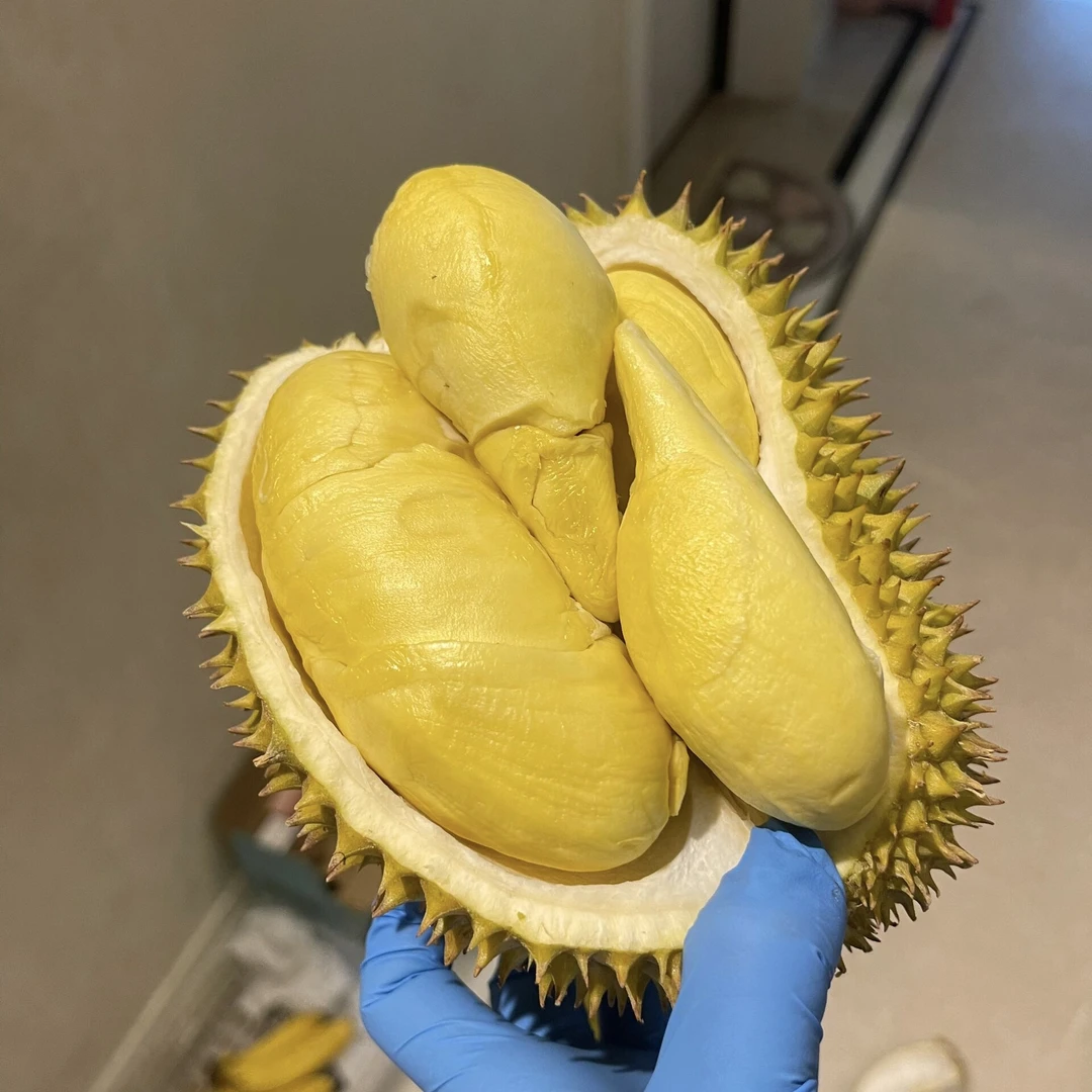 泰国老树双A金枕保40%出肉率