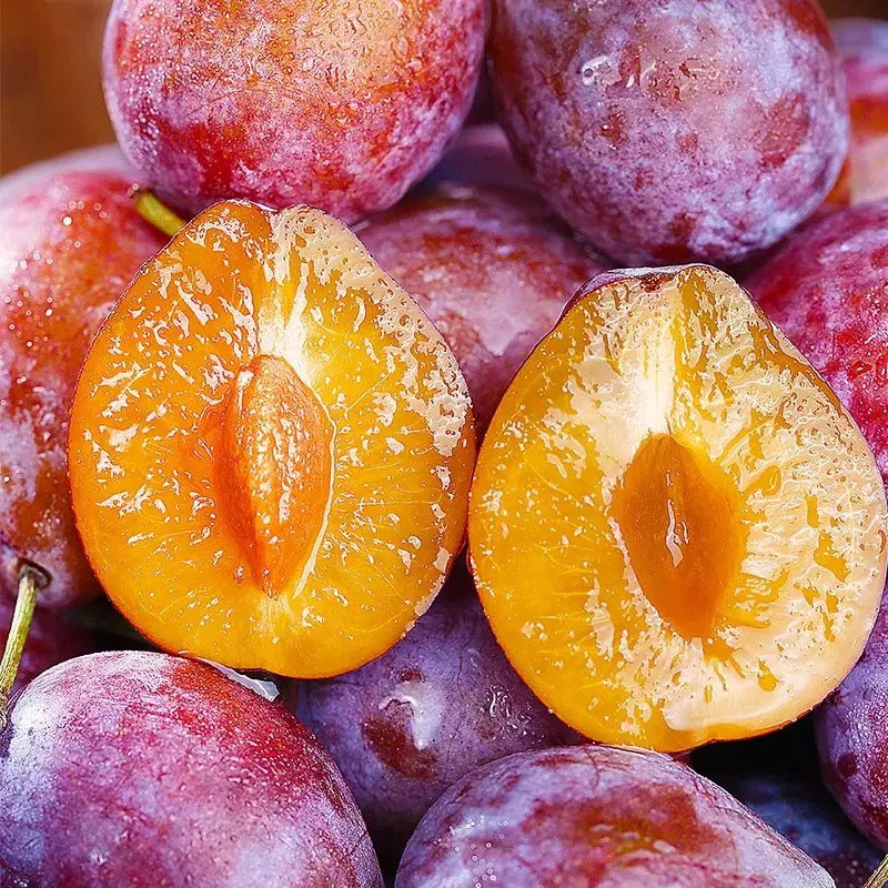 澳洲西梅新鲜水果西梅鲜果当季整箱现摘大果