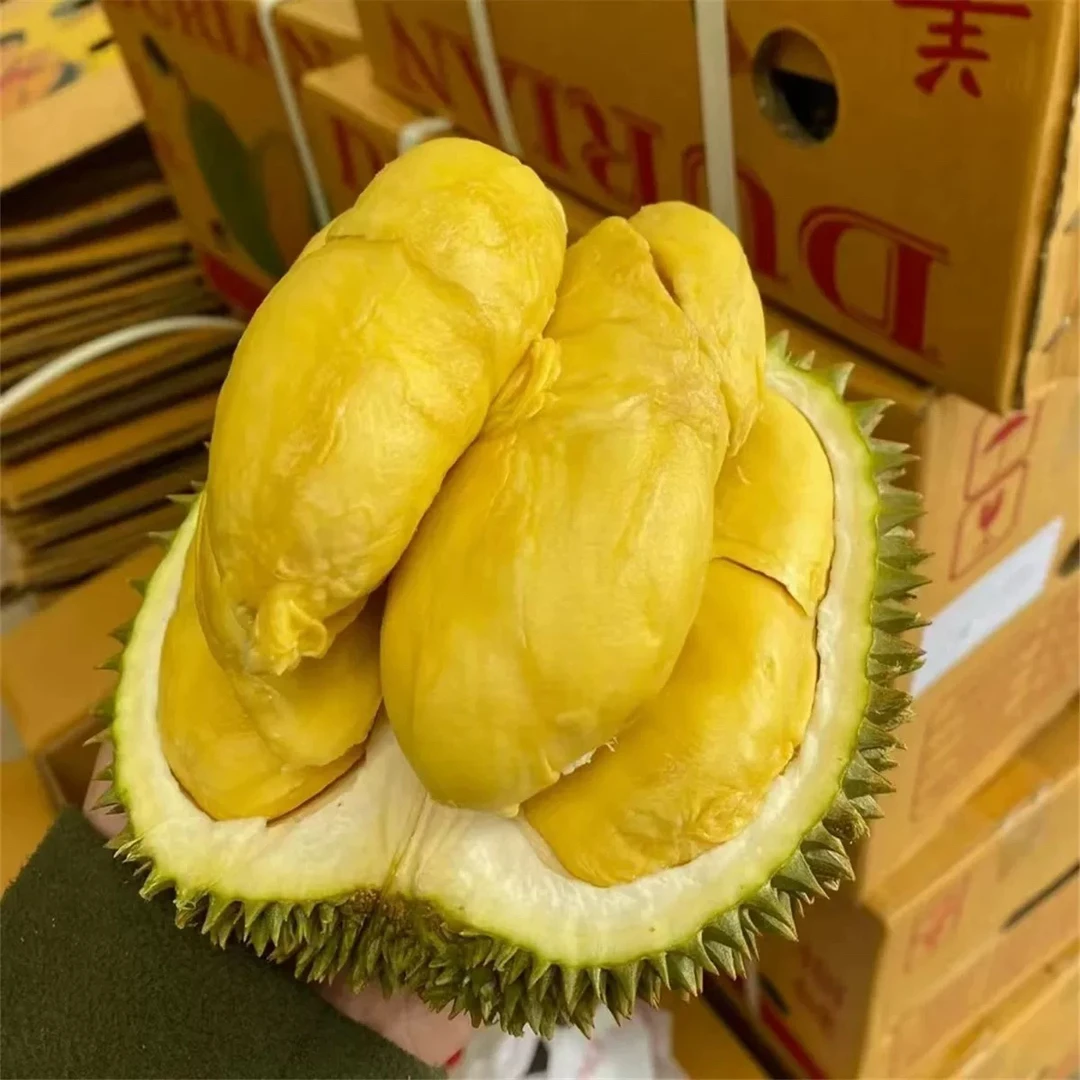 【北京小时达】都乐黄金普雅进口爆款！！菲律宾榴莲 软糯香甜