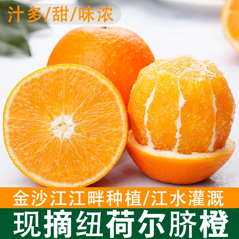 云南昭通永善纽荷尔脐橙4.5斤装