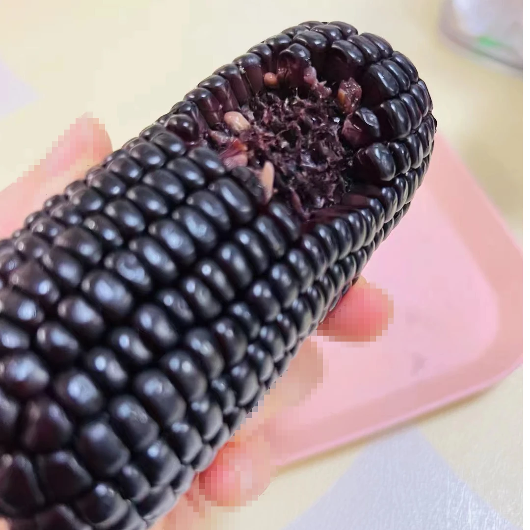 黑娃娃黑糯玉米2.0kg 12穗+赠品