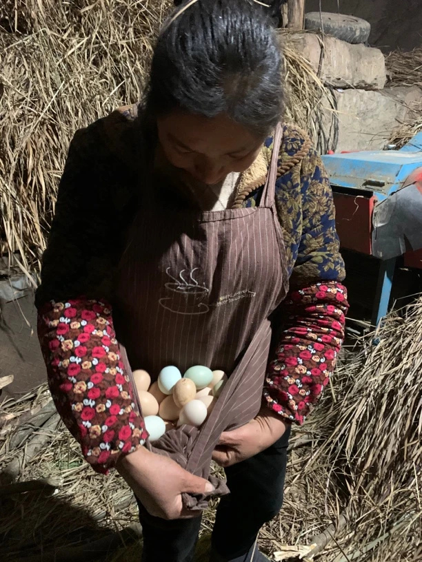 谭二姐家蜂蜜/散养粮食青草饲喂土鸡蛋