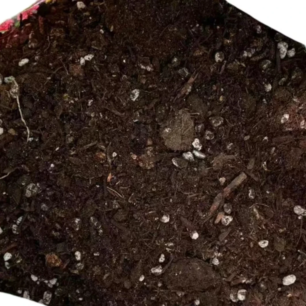 【草炭土】牡丹芍药专用土