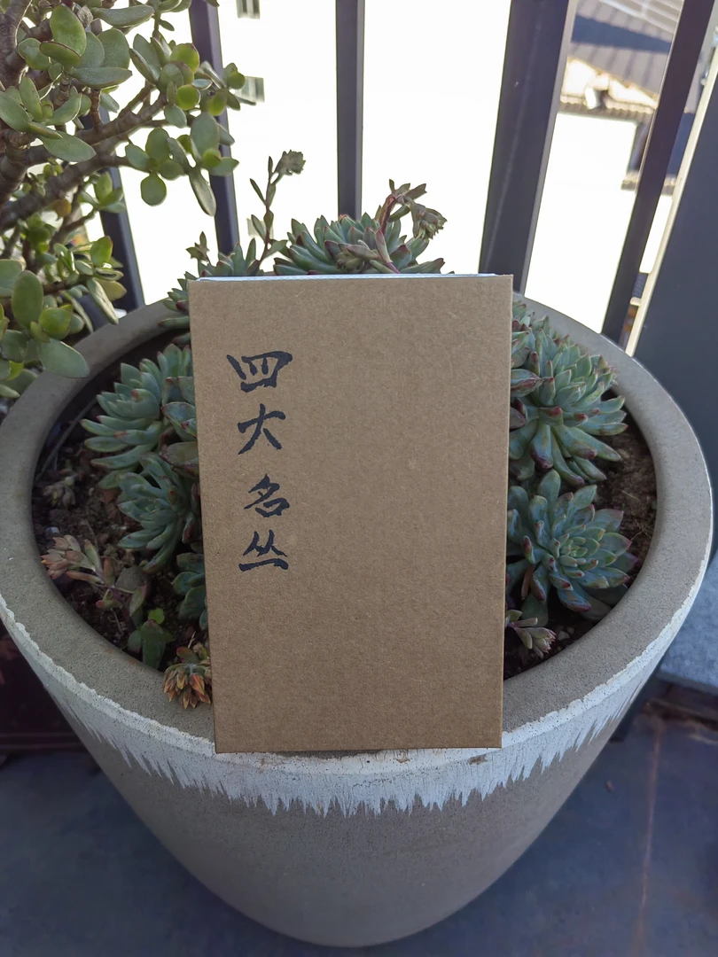 武夷岩茶 罗老四大名丛组合装