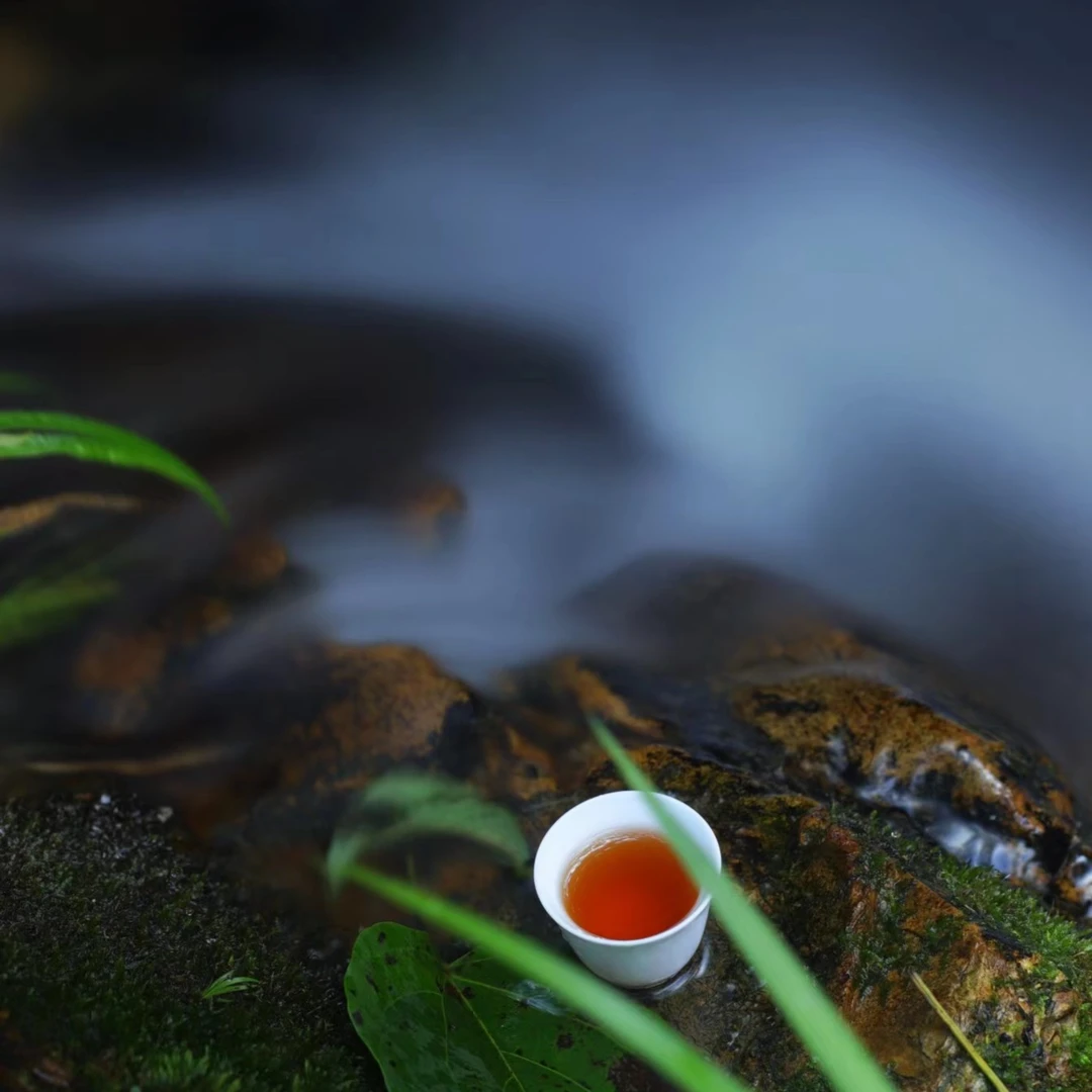 武夷岩茶组合链接（老枞梅占）