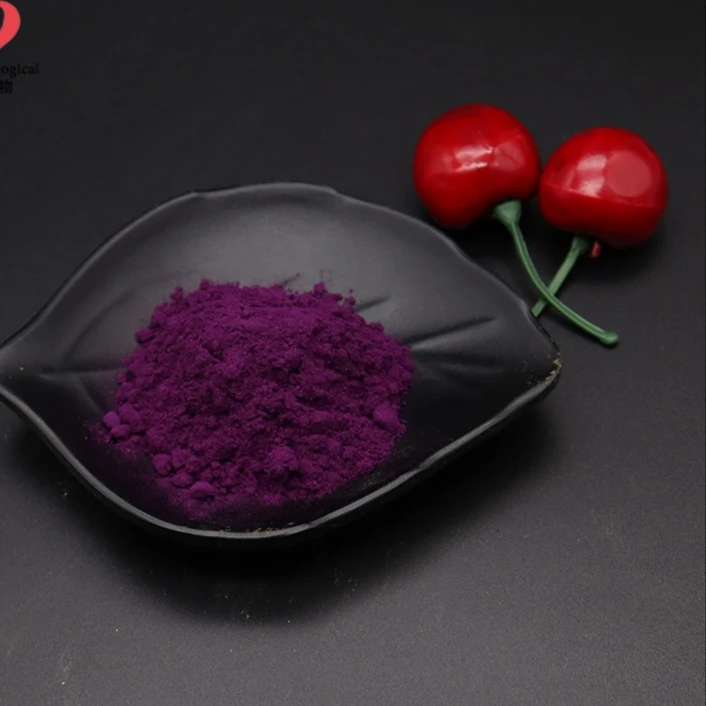 蓝莓粉蓝莓果粉 深紫色/紫红色 蓝莓提取 现货包邮