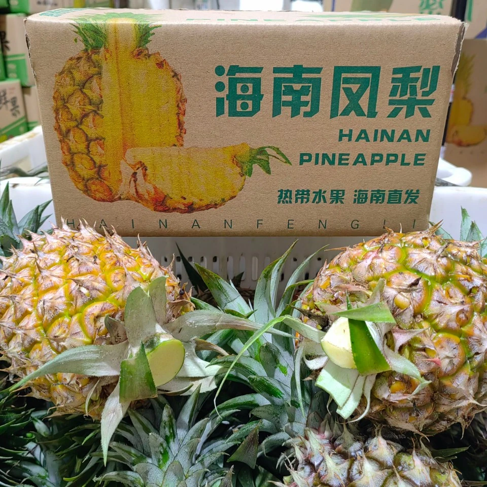 【邮政助农】海南金钻凤梨17号冬蜜甜蜜蜜芒果凤梨新鲜水果孕妇应季