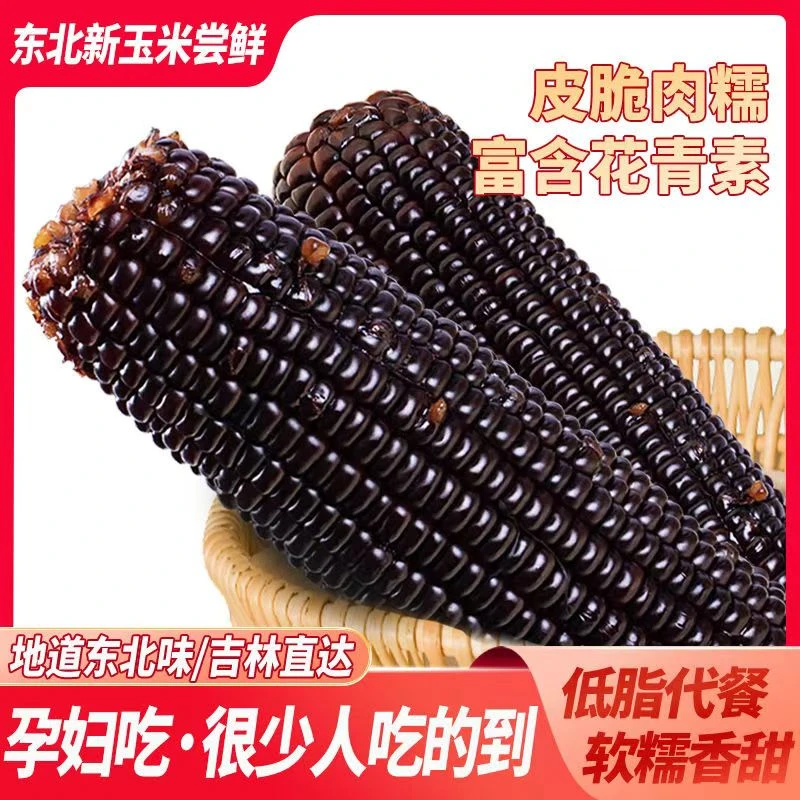 【试吃2根】整箱5斤半-6斤新鲜采摘真空非转黑糯12支装*200-260g  J