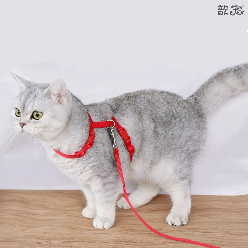猫咪牵引绳猫咪遛猫牵引绳防挣脱外出工字型狗狗猫加毛球宠物用品