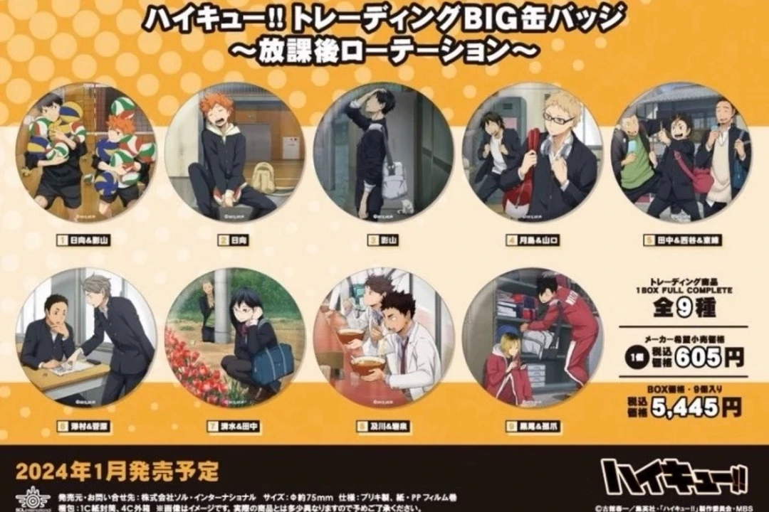 【日本】排球少年放课后系列 75mm 大吧唧 全9种(代拆)