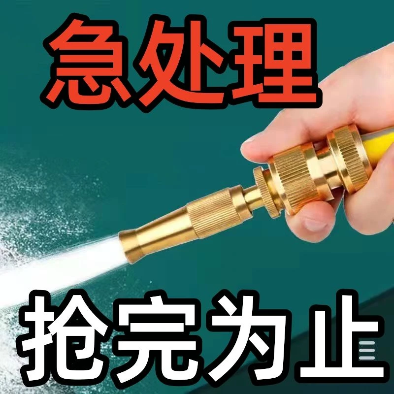 高压洗车水枪家用套装农用直喷枪浇花工具四季软管冲洗地工具苏宜