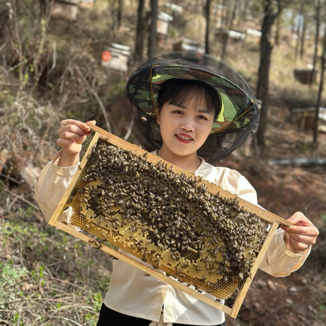 自家农场纯土蜂蜜【到手3瓶】每瓶500g装新鲜正宗天然成熟原蜜酿造