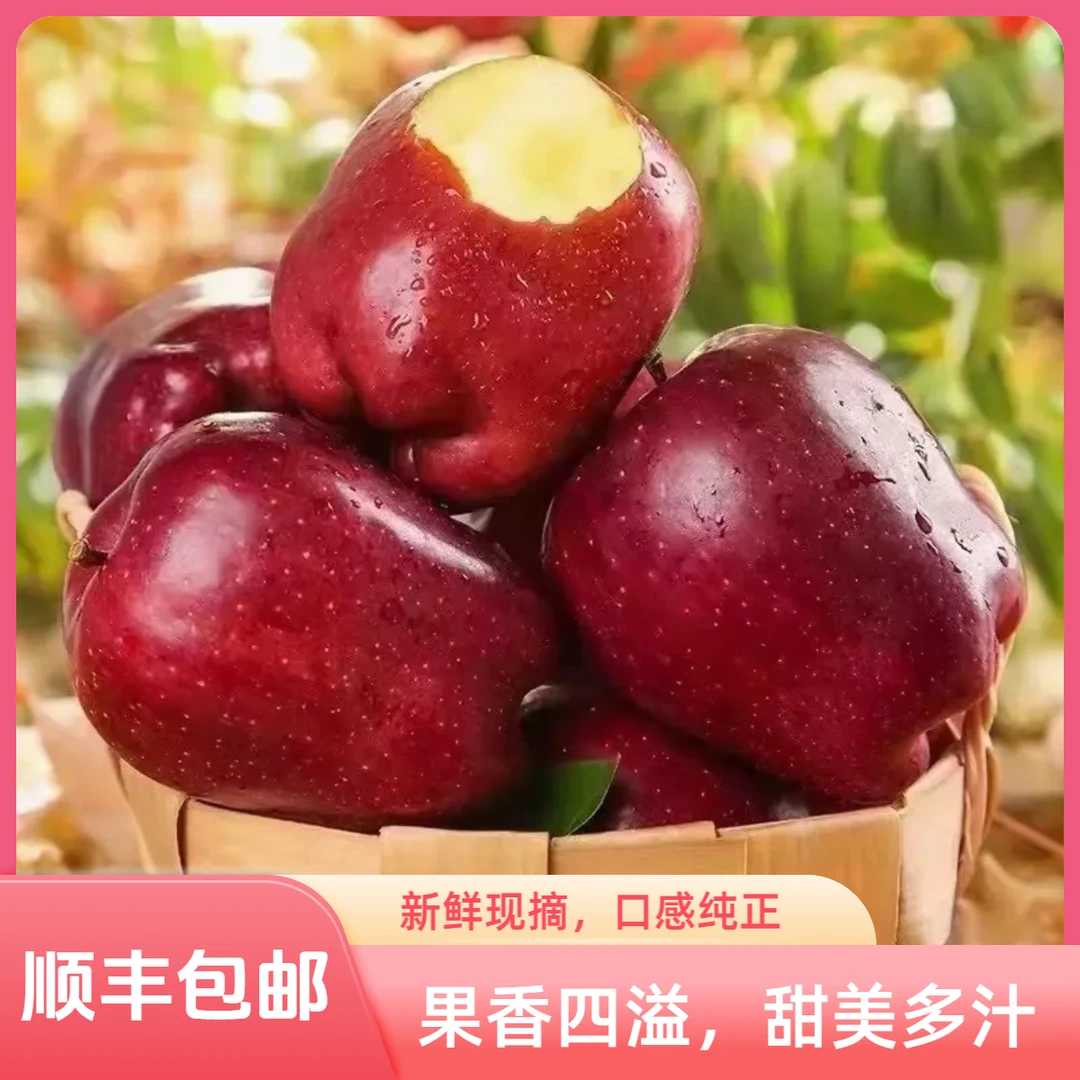 【天水豆豆甄选】【顺丰包邮果王】—天水花牛苹果自然生长新鲜采摘
