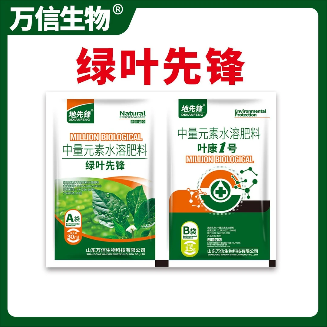 绿叶先锋叶面肥中量元素水溶肥料AB搭档