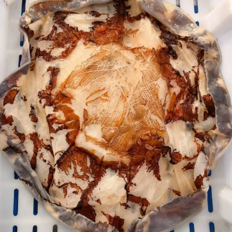 【三矾深海海蜇大皮干皮】舟山海蜇大皮子三矾提干皮5斤桶发货