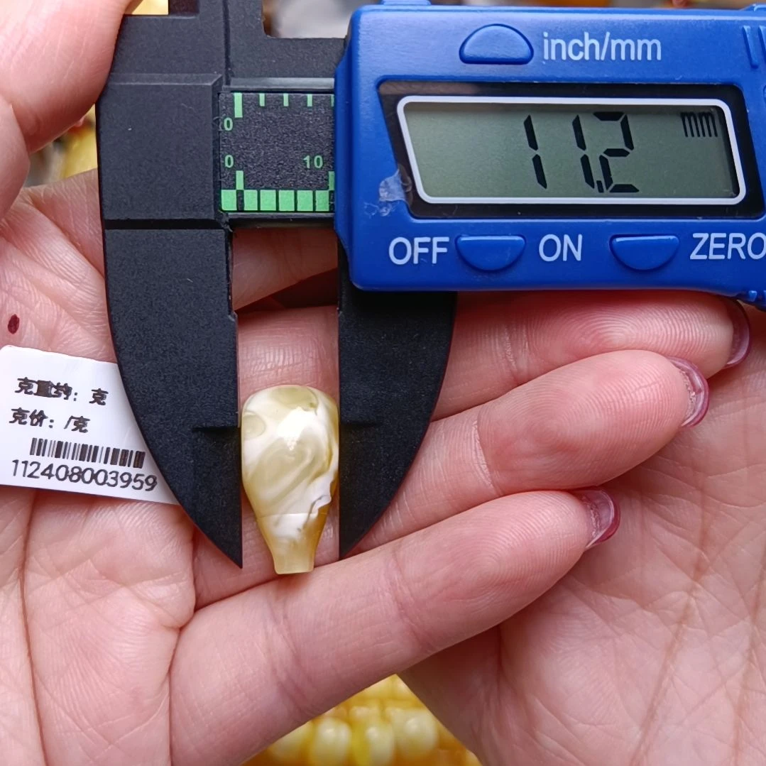 蜜蜡裸石未镶嵌11+金瓷白三通