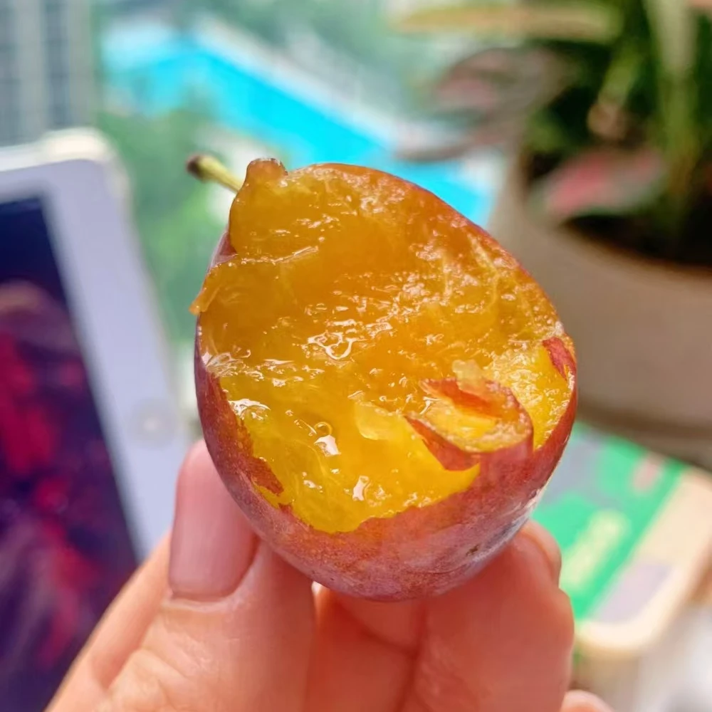 正宗新疆纯甜西梅(微软介意的勿拍)