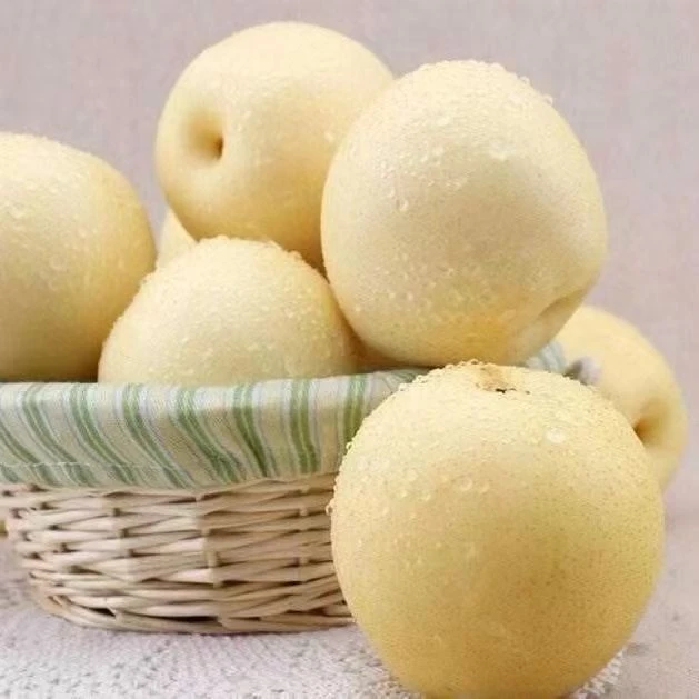 皇冠梨，皮薄水分足