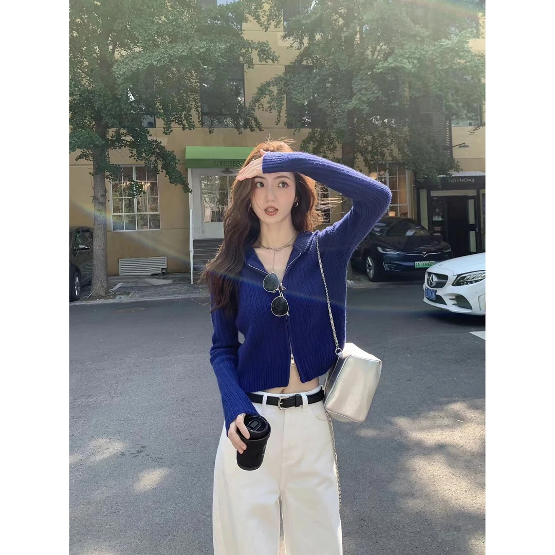 高级感秋装盐系穿搭御姐时尚蓝色毛衣阔腿裤两件套装女装