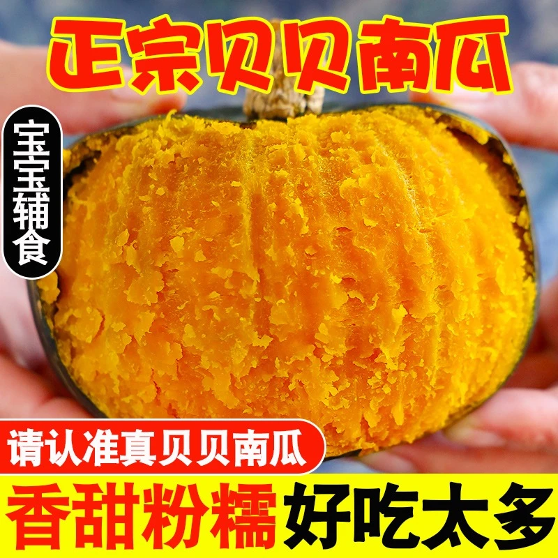 【坏果包赔】正宗贝贝南瓜板栗味粉糯香甜宝宝辅食净重4.5斤