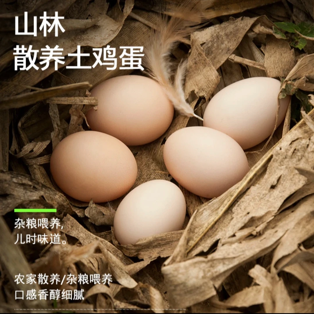 高山跑跑鸡 正宗土鸡蛋（来自美人之乡）