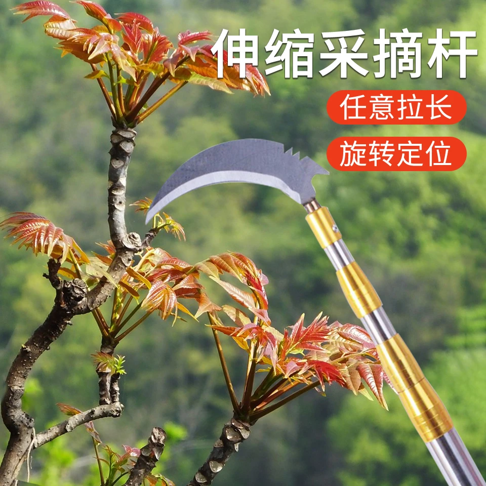 不锈钢长杆伸缩采摘用杆槐花网杆割草摘果抄网竿香椿钩子