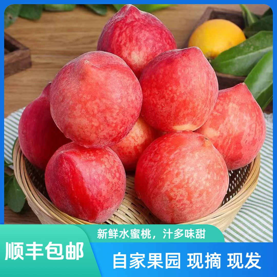 顺丰包邮红不软果园新鲜现摘现发鲜嫩毛桃5/10斤应季水果脆甜桃